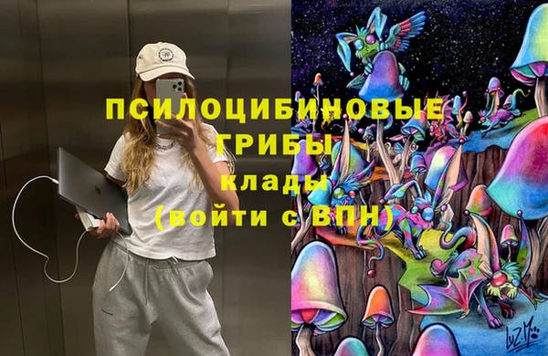 трава Каменногорск