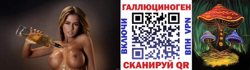 Купить закладки  Кириллов  Псилоцибиновые грибы MAGIC MUSHROOMS 